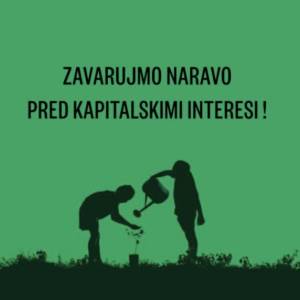 Profile picture for user Goricka rozica