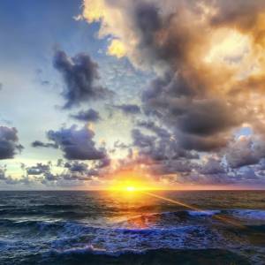 Profile picture for user kingkong