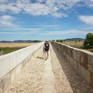 Profile picture for user bojan1512