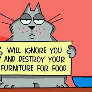 Profile picture for user flower-in-the-sun