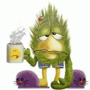 Profile picture for user bakiadler