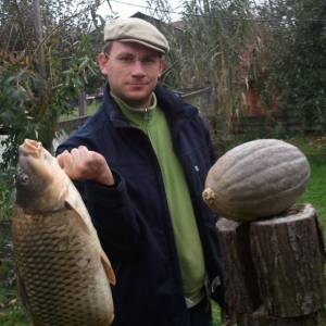 Profile picture for user zver