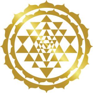 Profile picture for user shamballa