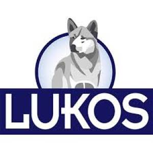 Profile picture for user Lukos