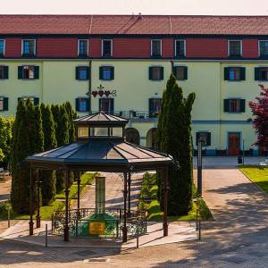 Profile picture for user radin10