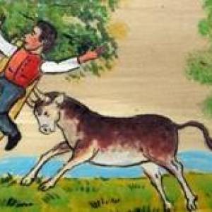 Profile picture for user blazvinjak