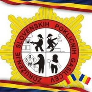 Profile picture for user joeventura