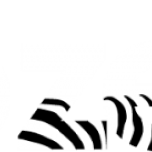 Profile picture for user vivozebra