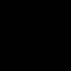 anejalenarsic